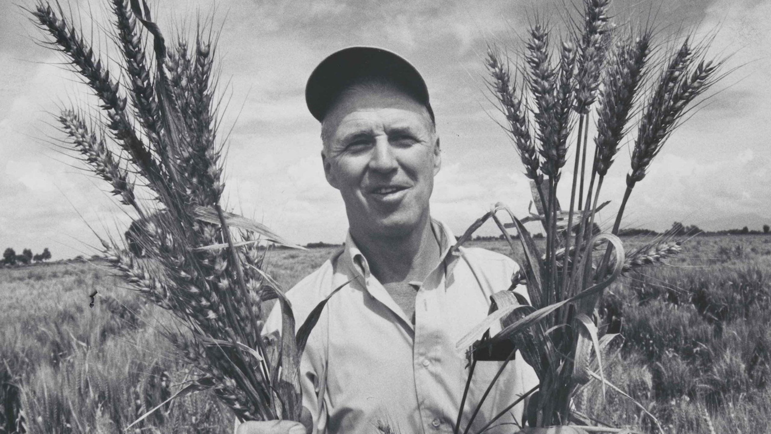 Norman Borlaug, the man who tried to feed the world with wheat